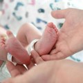 Mali bebi bum u Leskovcu: U jednom danu rođeno 13 beba