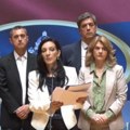 Marinika Tepić: Sledeće nedelje objavljujemo foldere iz Skaj dokumentacije