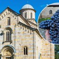 "Ovo je čudo Božje": Pogledajte kakav grozd je rodio u manastiru Visoki Dečani, monasi podelili fotografiju