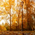 Očekuje nas sunčan jesenji dan: Najviša dnevna do 20 °C