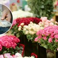 Buketi za Dan žena od 1.500 dinara: Otkrijte simboliku cveća i kako izabrati savršen aranžman