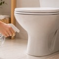 Sve više ljudi prska sirće oko WC šolje: Evo zašto