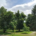 Kapija Apatina, Šuma svetlosti, Meander plaza, Dunavska svetlosna staza - Šta bi sve apatinski Gradski park mogao da dobije…