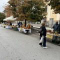 Počeli „Dani meda“ u Inđiji: Pčelari izložili med i pčelinje proizvode