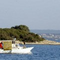 Opasna Pelagija okupirala hrvatsko primorje: Za jedno jutro, osam uboda na samo jednoj plaži