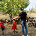 Bojan se posle 10 godina rada u Nemačkoj, vratio u Srbiju: Na dedovini razvio biznis i živi svoj san