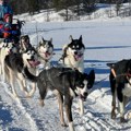 (Foto) Dok drugi beže od zime, Željka joj ide u susret: Život s haskijima u Finskoj na minus 40 i uz svetlost Aurore