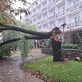 Talasi prevrtali barke: Olujni vetar u Crnoj Gori dostizao brzinu i od 115 kilometara na čas, obarao stabla i dizao krovove