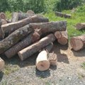Kradu iz državnih šuma, šumska mafija nedodirljiva: Nastavljena zaplena bespravno posečene građena severu Crne Gore