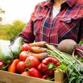 Najzdravije povrće koje sazreva u julu: Snižavaju krvni pritisak, usporavaju starenje