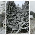 Snežna idila na srpskim planinama Gledajte kako se zabeleo Kopaonik, vejalo i na Zlatiiboru (foto) (video)