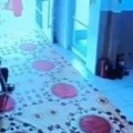 Pao kao sveća! Snimak koji je zaludeo mreže - svi se pitaju da li je uopšte živ! (video)