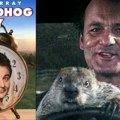 4 fenomenalne poslovne lekcije iz filma "Dan mrmota": Svaki BIZNISMEN mora da zna ove strategije!