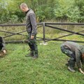 JP„Srbijašume“ ŠG Prijepolje obeležile 34 godine rada sadnjom četinara na Ravnama