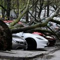 Zagreb sabira štetu od nevremena: Procenjuje se da je srušeno do 3.000 stabala