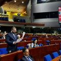 Srpska delegacija u PSSE: Izbori na KiM nisu bili regularni, pokušaj eliminacije Srpske liste
