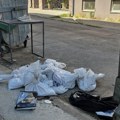 "Ne tražimo ništa posebno, samo da prostor gde živimo bude održavan": Kontejnera malo, smeća previše, JKP Šumadija ne odgovara…