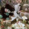 Трагедија у Београду: Поделе, сузе и једна гитара, из угла родитеља ђака школе „Владислав Рибникар", месец дана касније