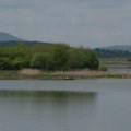 Jako „cvetanje“ toksičnih algi na Gružanskom jezeru odakle Kragujevac dobija vodu