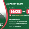 Pavlu su potrebna sredstva za transplantaciju jetre i bolničko lečenje u inostranstvu