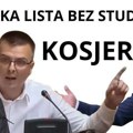 Kukavičije jaje : Umesto akademaca - političari, politikanti, aktivisti, Parandilovićevi i Aleksićevi kadrovi