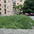 RTK se žali na Kovačevića, a do bine kroz visoku travu