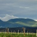 Planina Jelica proglašena predelom izuzetnih odlika