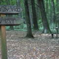 Srpski bioenergetičar otkrio mesto sa energetskim tačkama koje godišnje poseti 100.000 ljudi, a mi i ne znamo da nam je tako…