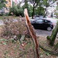 Šapić: Šteta u Beogradu posle oluja procenjena na skoro 76 miliona dinara
