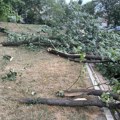 Saniranje posledica oluja u Novom Sadu: Svi radovi pri kraju, evo šta su gradska preduzeća uradila