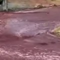 Nesvakidašnji prizori: Ulicama tekle reke crvenog vina (video)