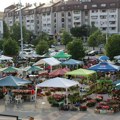 Zamenite stari papir za sadnice na Novosadskoj cvetnoj pijaci