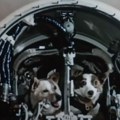 Svemirski pioniri bili su psi Desik i Cigan