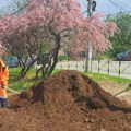 JKP „Mediana“: Nastavak radova na održavanju higijene i zelenih površina u Nišu