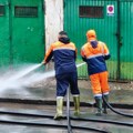 Heroj iz Kragujevca spasao nemoćno biće od jezive smrti! Marko čistio kontejnere, a onda u sekundi prekinuo rad prese: Ono što…