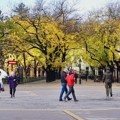 Padaju temperature, spremite debele jakne: RHMZ objavio prognozu do početka novembra - jutra da se smrzneš, a danas popodne…