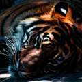 Izjava dana: Zašto je „ekonomski tigar“ lažireč godine
