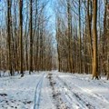 U Srbiji danas oblačno i toplije, temperatura do 13 stepeni