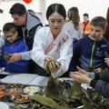 Osnovci pravili „zongzi“ i čamce od papira