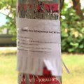 Novi Sad: Šta je u oglasu nudio dvanaestogodišnji dečak