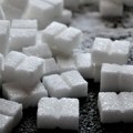 ”Sunoko” ove godine planira proizvodnju 170.000 tona šećera