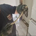 Zmija otrovnica uvukla se u porodičnu kuću (video)
