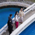 Tajkun nudio milion dolara muškarcu koji oženi njegovu ćerku: Prosci se utkrivali, a onda su otkrili njenu skrivenu tajnu