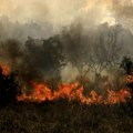 Požari besne širom Mediterana, najteže u Alžiru – 34 osobe stradale