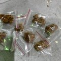 Novosađanka osumnjičena za nelegalnu trgovinu narkoticima, policija u stanu pronašla marihuanu i kanabis
