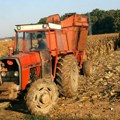 Prinosi, ipak, bolji nego lane: Berba kukuruza na semberskim poljima pored Drine i Save uveliko traje