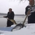 Blizanci Milosavljević na Savi bili i u vreme poplava: Zimi se puši samo njihov odžak, svaki dan su na reci