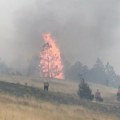 Novi požari u Bijelom Polju: Vatrogasci se borili sa vatrenom stihijom na 14 lokacija - Kuće bile ugrožene