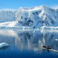 Antarktik: Otapanje morskog leda preti divljim životinjama i klimatskoj stabilnosti