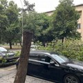 Jak vetar oborio drvo u ulici Stojana Ljubića u Leskovcu